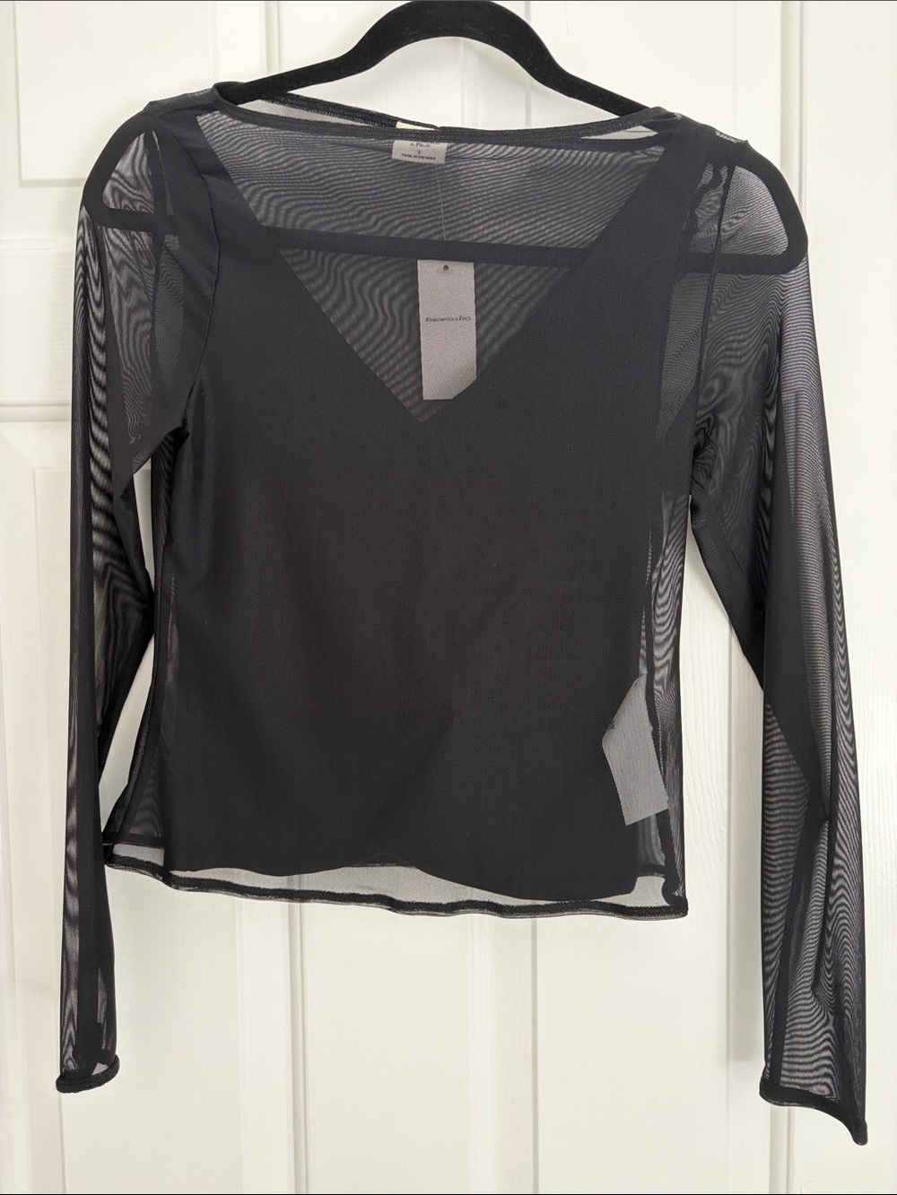 Abercrombie Sheer Long-Sleeve V-Neck Top